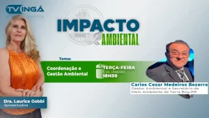 IMPACTO AMBIENTAL| Coordenação e Gestão Ambiental | TV Ingá