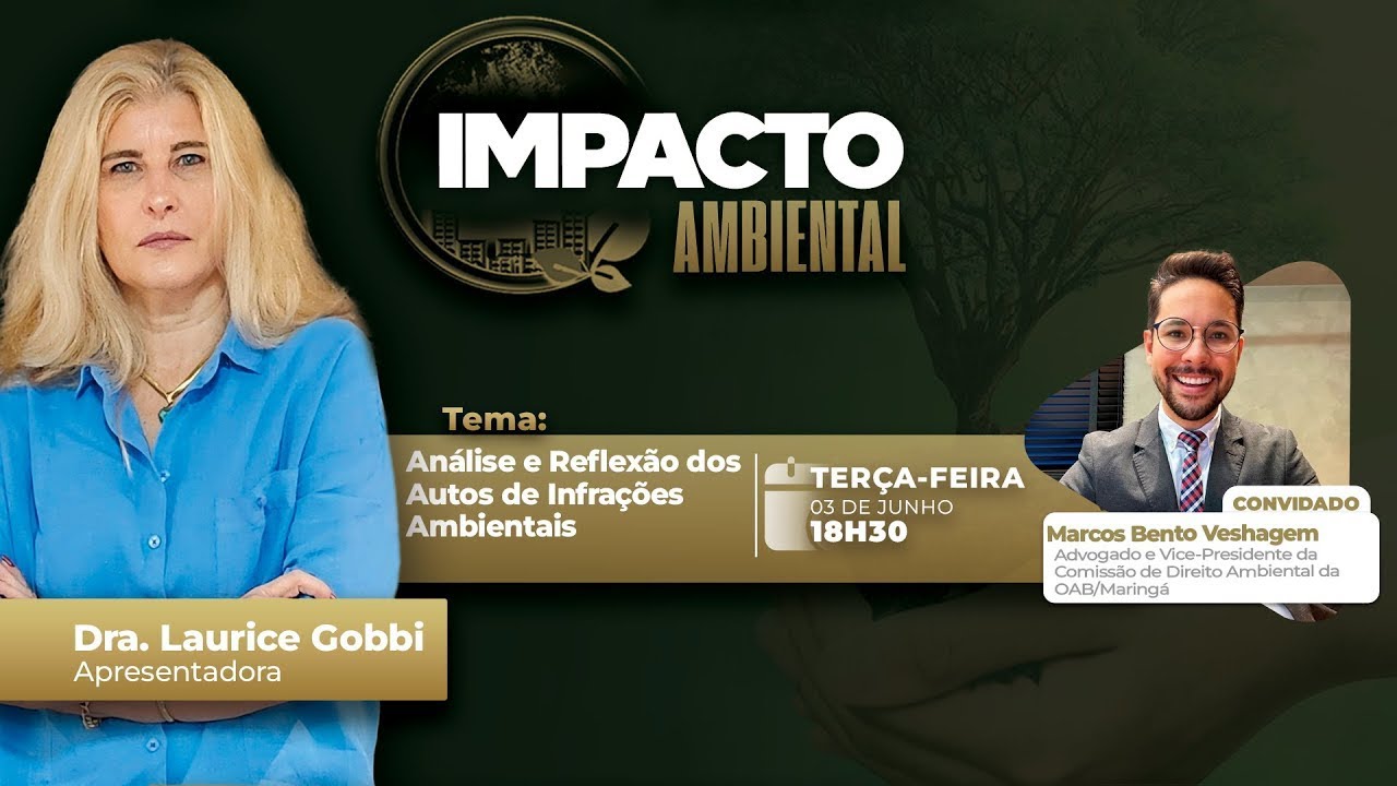 Análise e Reflexão dos Autos de Infrações Ambientais | Impacto Ambiental