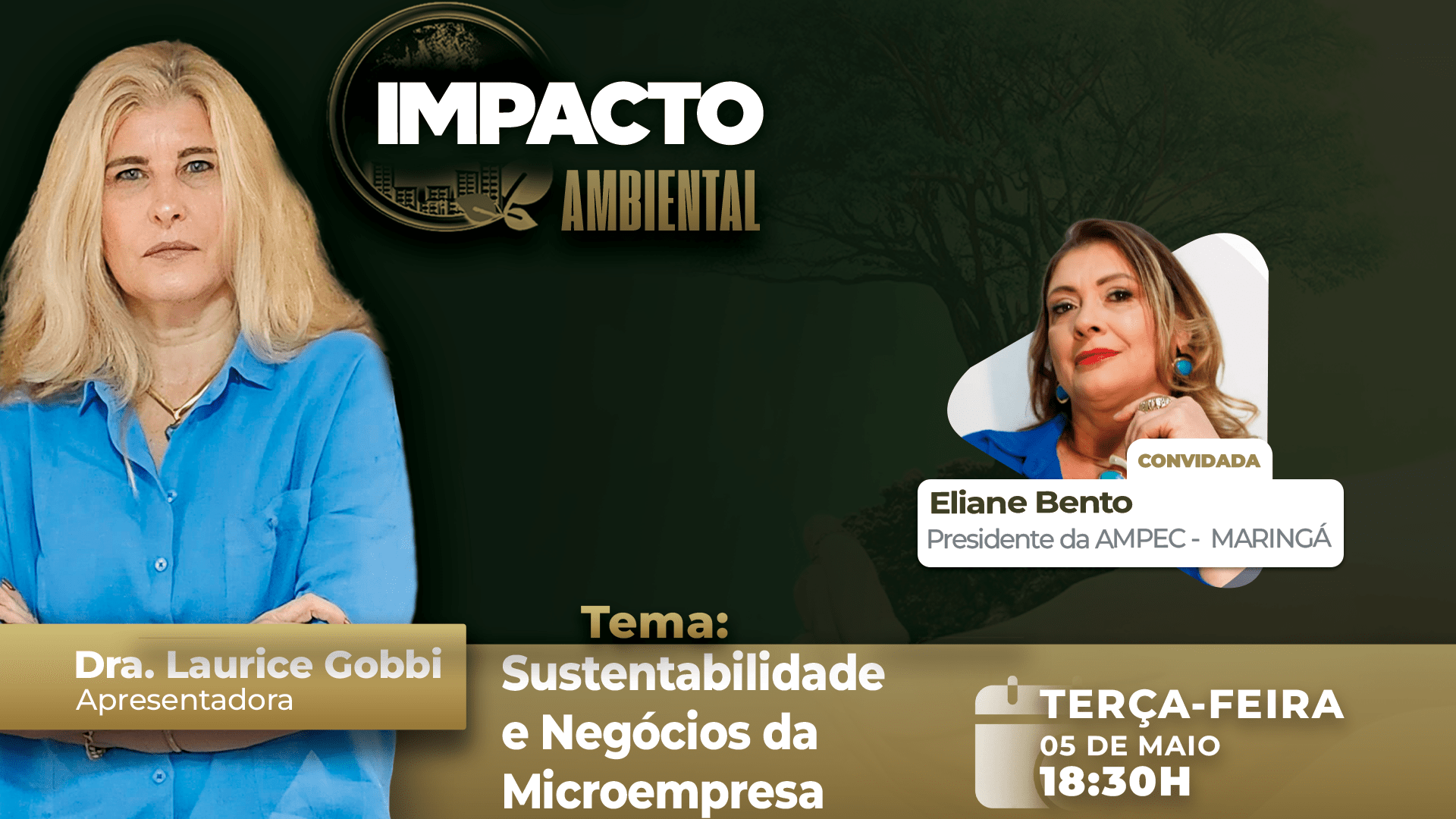 Sustentabilidade e Negócios da Microempresa | Impacto Ambiental | TV INGÁ